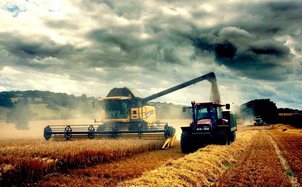Eurostat: România deține o treime din fermele UE